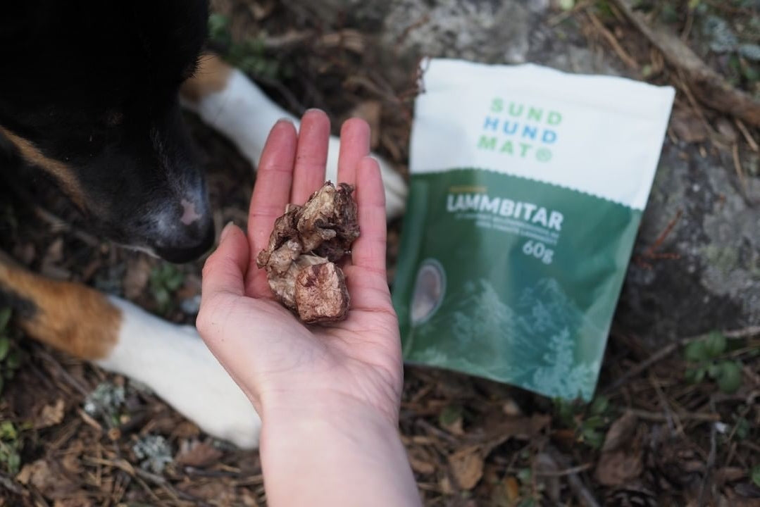 Godbiter av lammelunger