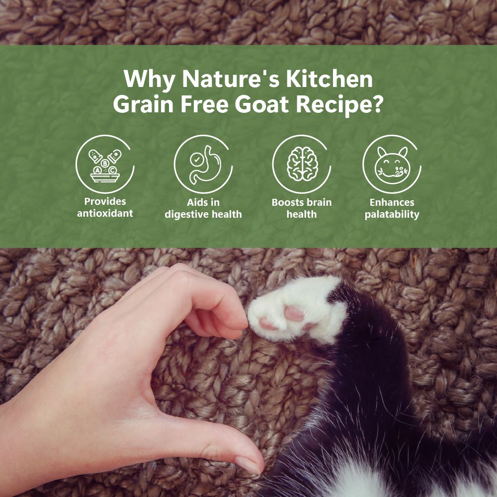 Freeze-dried goat food | for cats