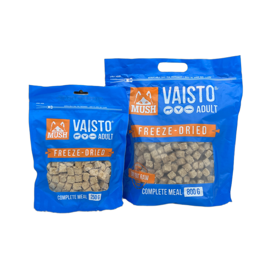 VAISTO blue