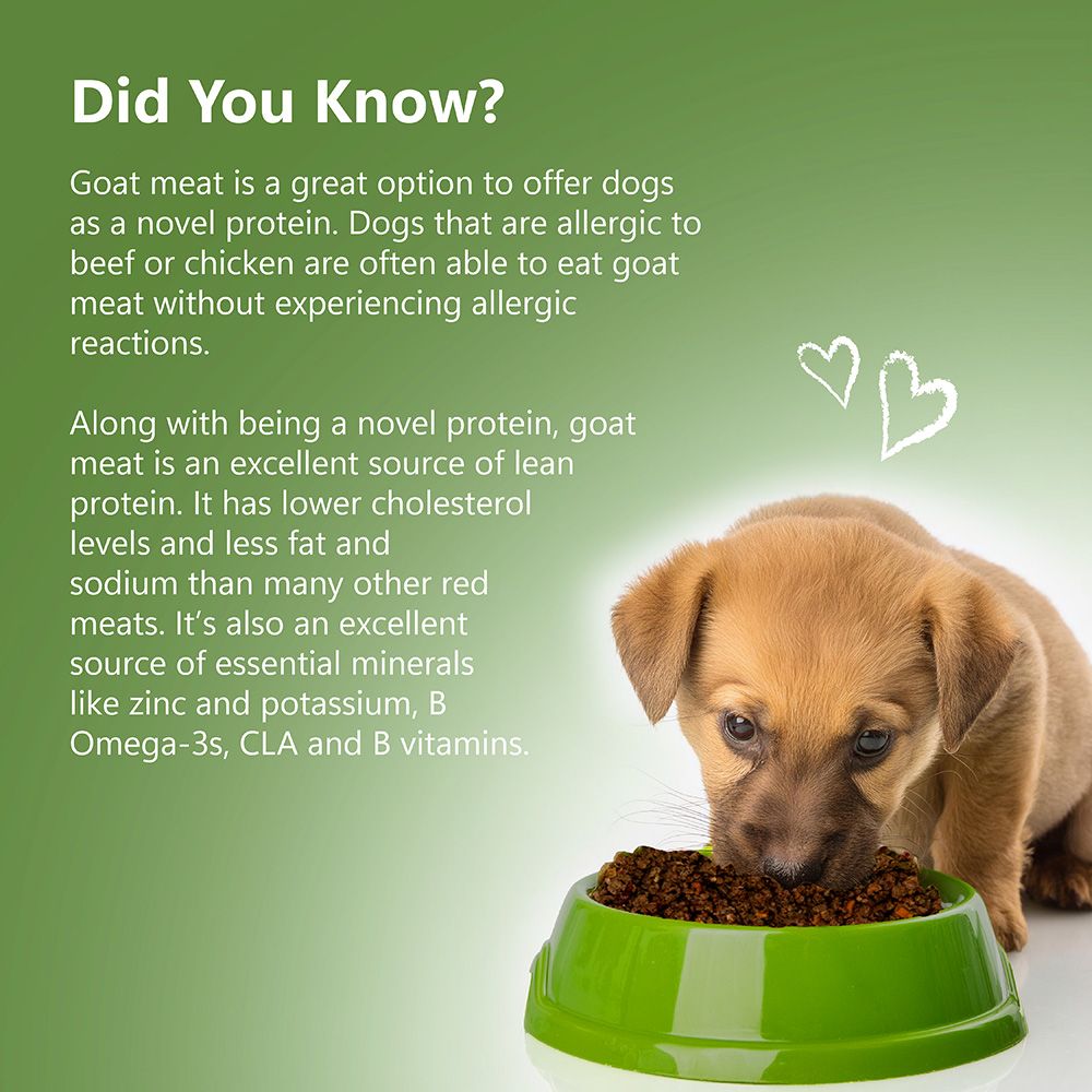 Freeze-dried goat food | for dogs
