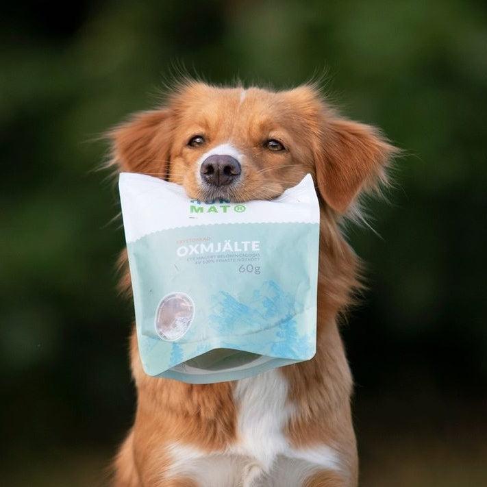 Godbiter av storfemilt