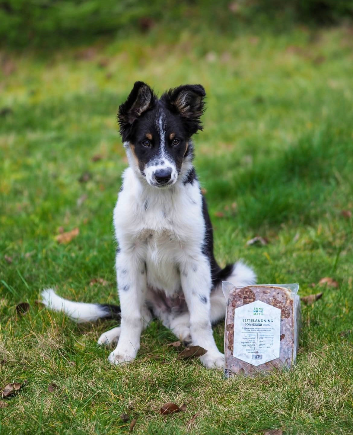 Fryst fullfôr | elite