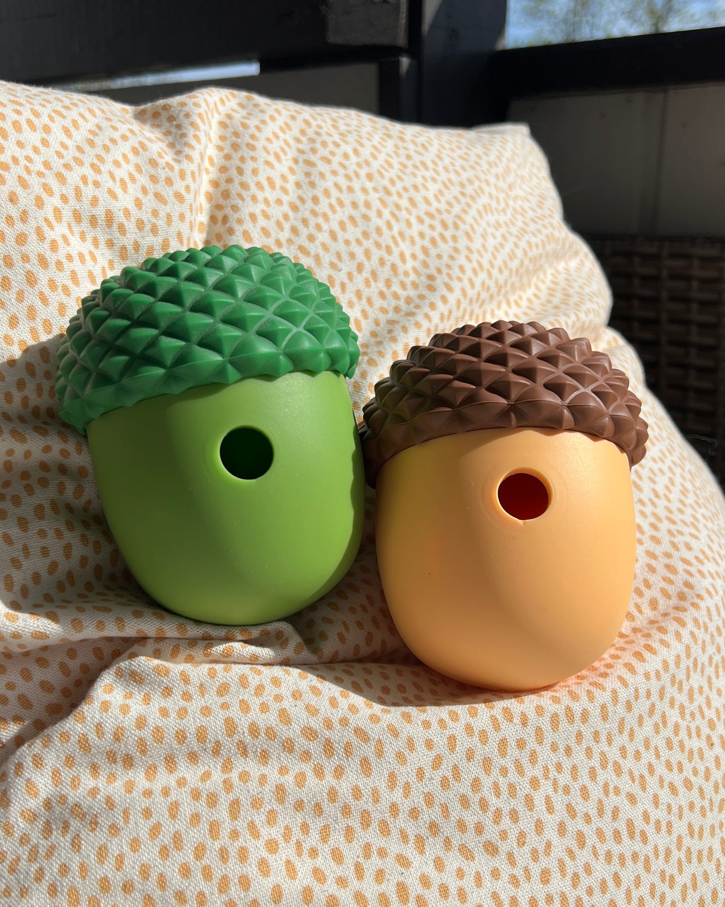 The acorn