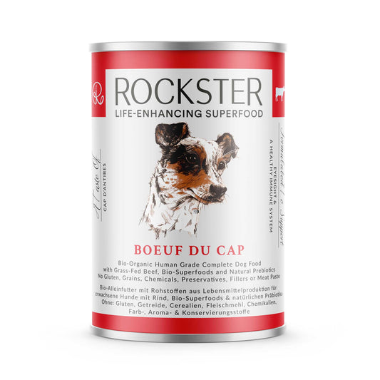 Wet food with beef | for dogs