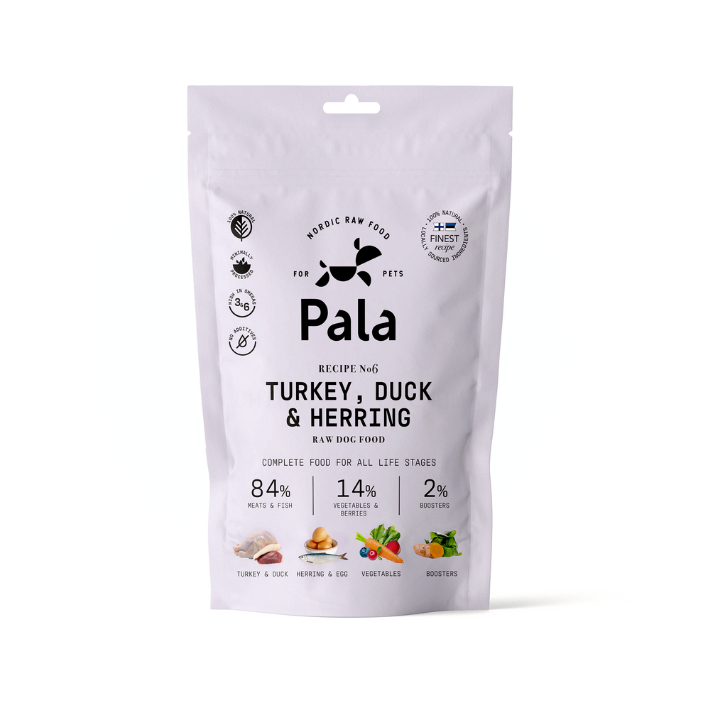 Find your dog's favorite food