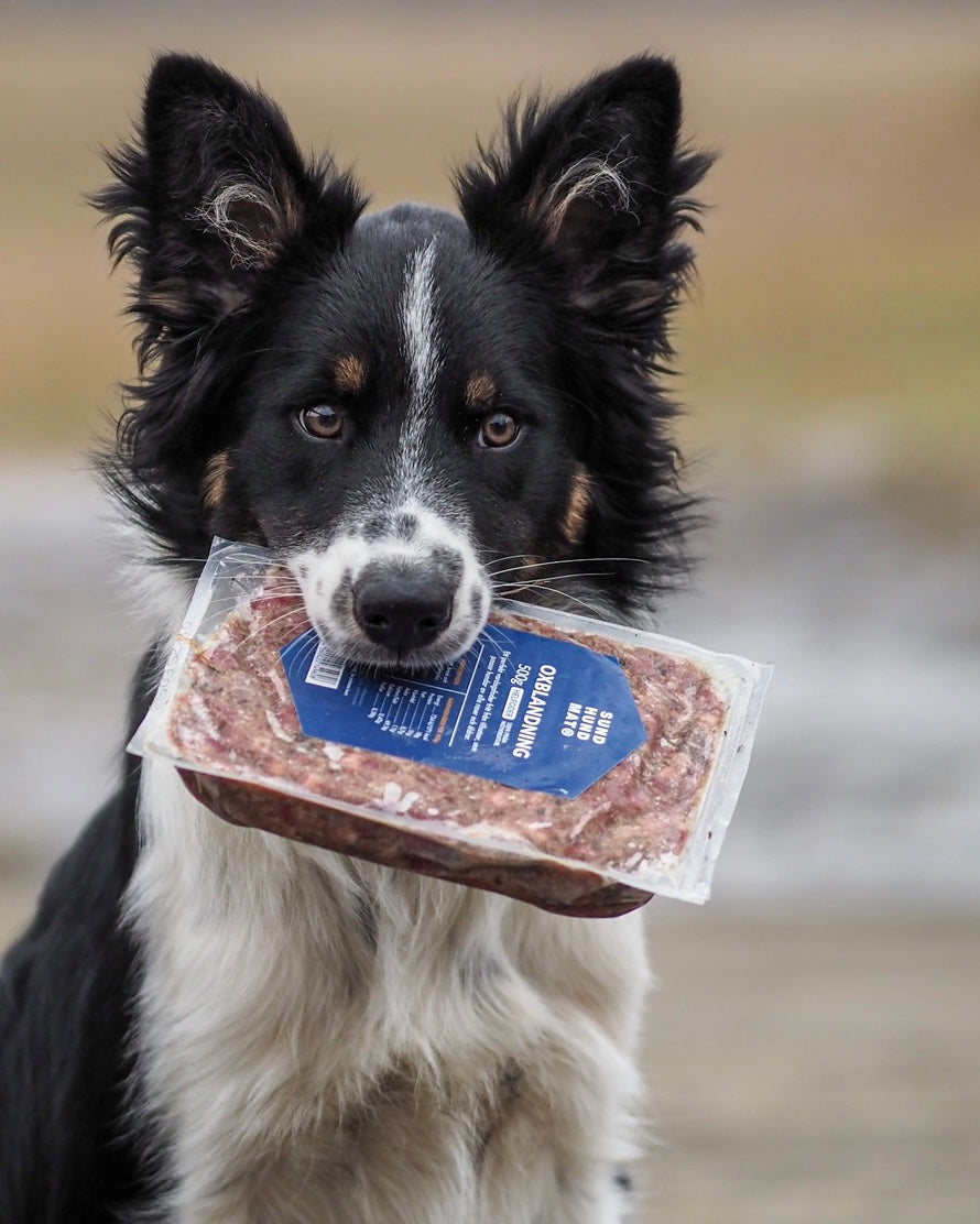 Fryst fullfôr | storfe