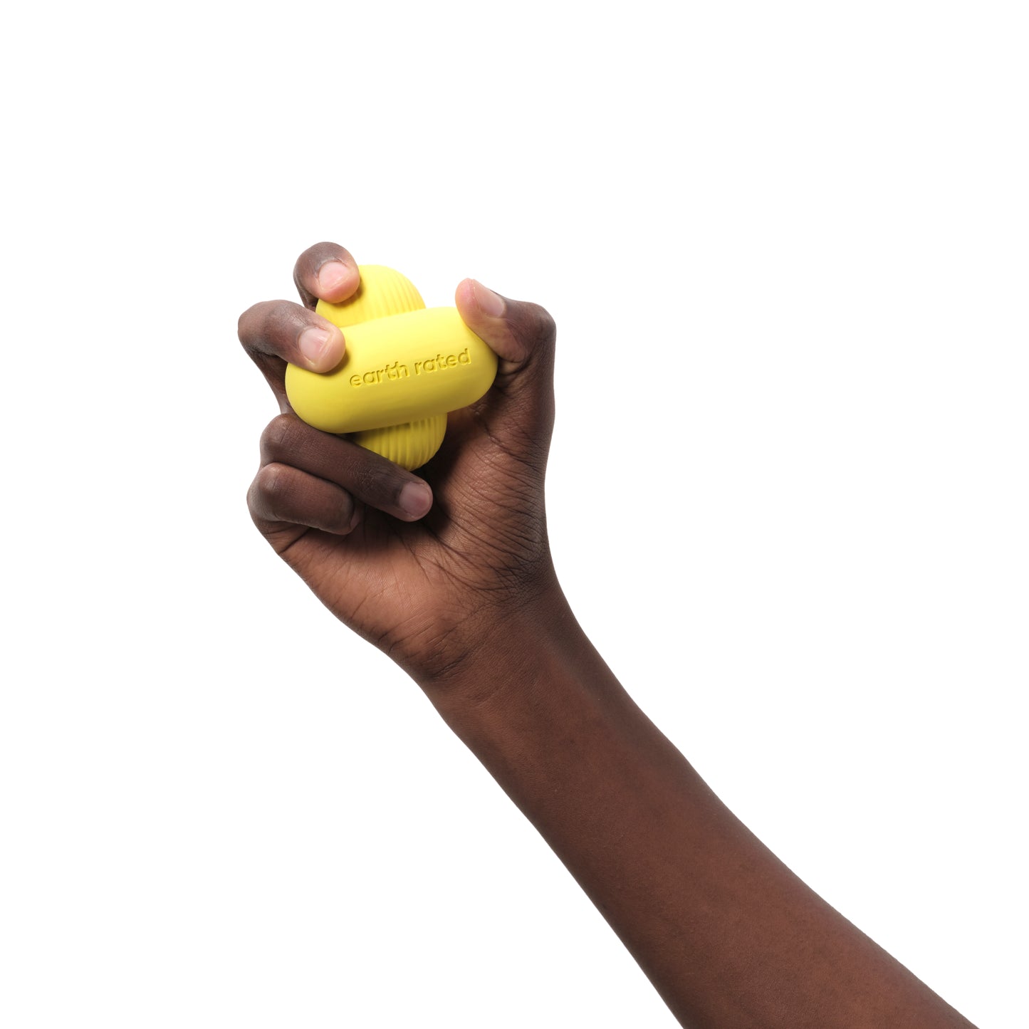 Fetch toy