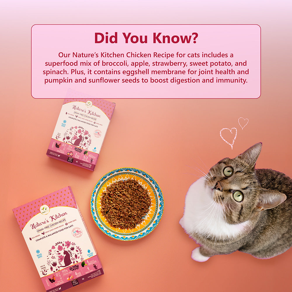 Freeze-dried chicken food | for cats