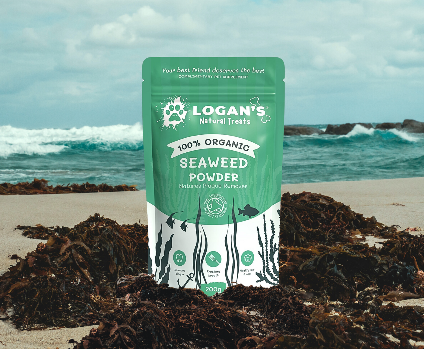 Økologisk tangpulver