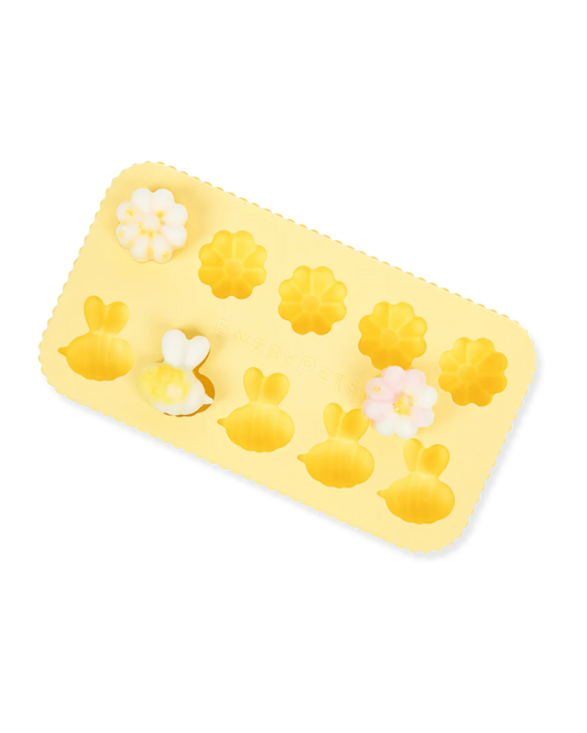 Silicone mold BEE + DAISY
