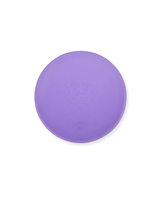 FetchFlyer Frisbee