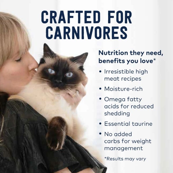 Wet food with beef | for cats