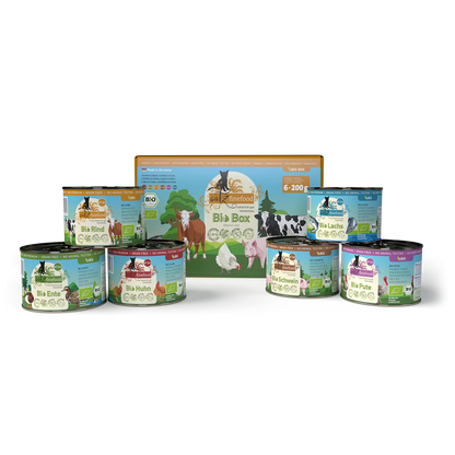 Finn kattens favorittfôr