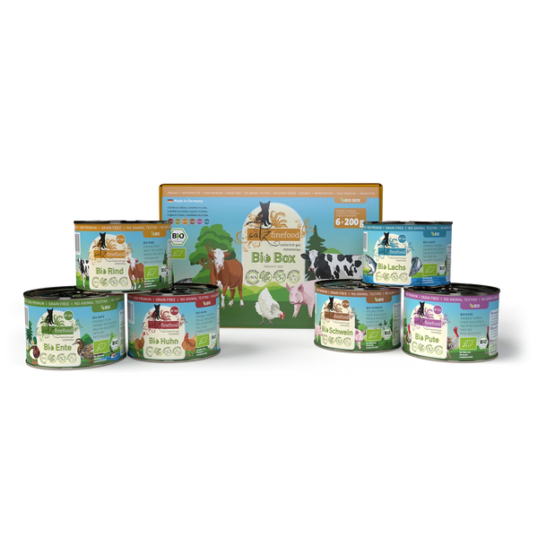 Finn kattens favorittfôr