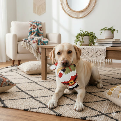 Hundeleke | julenisse