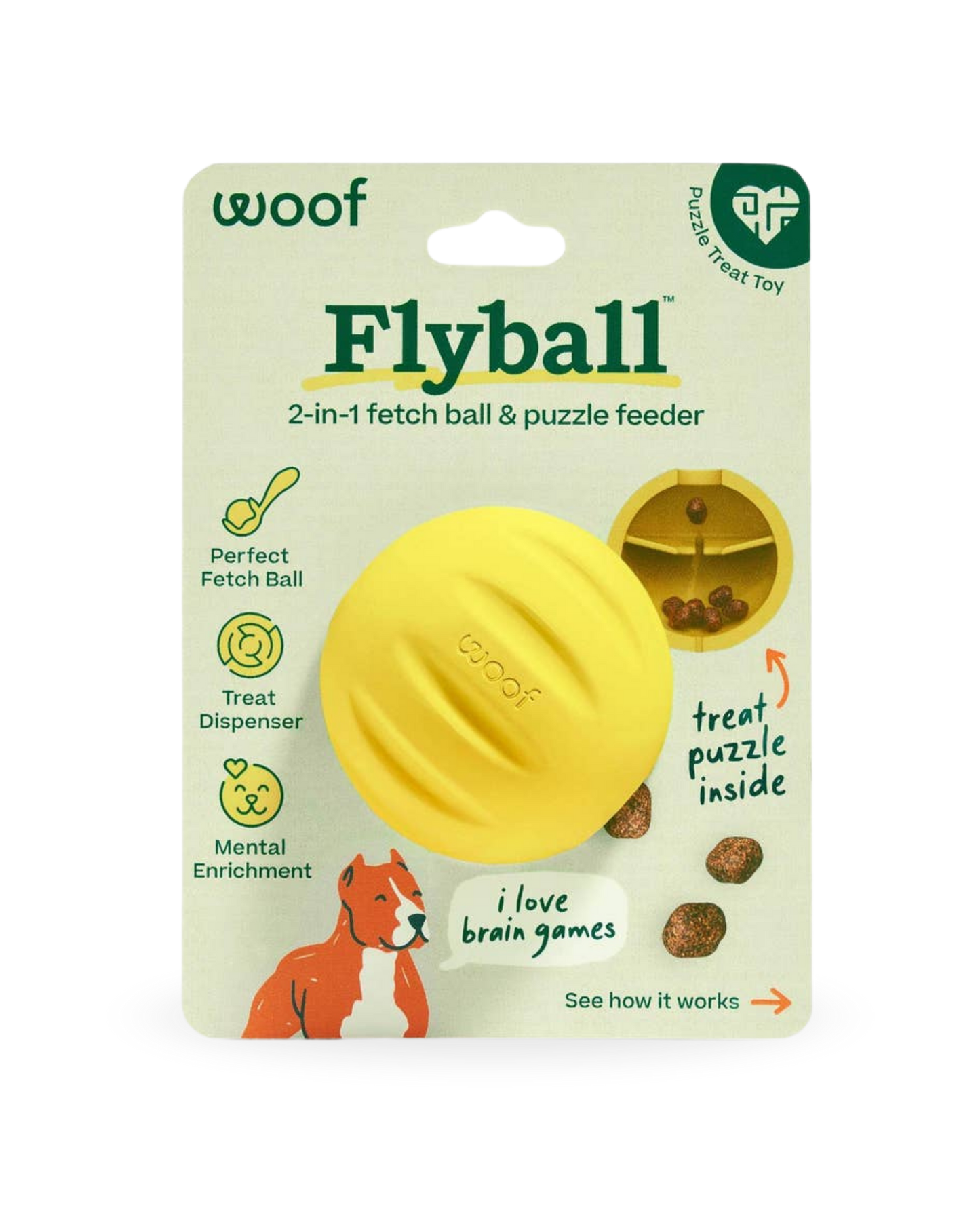 Flyball