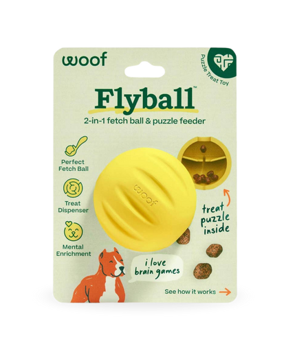 Flyball