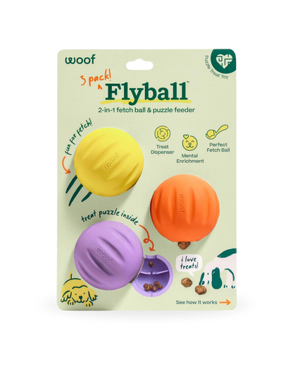 Flyball