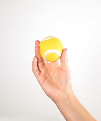 Hundeleke | tennis(ull)ball
