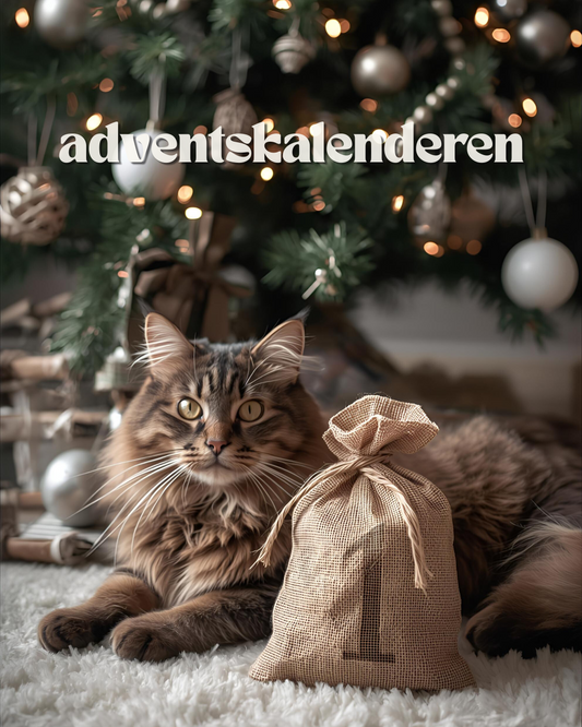 Adventskalenderen | til katt