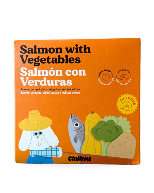 Salmon with vegetables