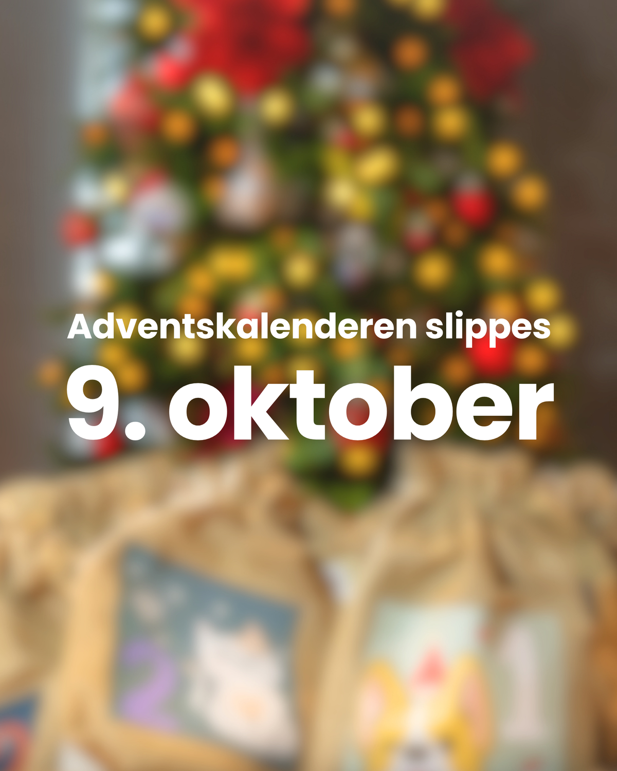 Adventskalenderen | hund