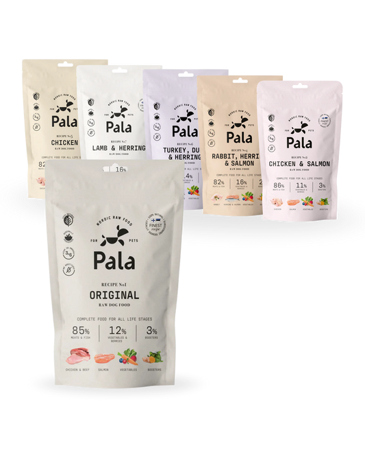 Find your dog's favorite food