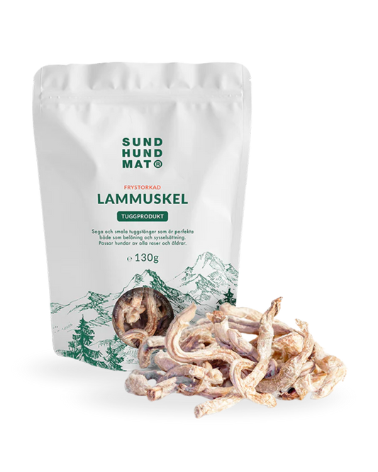 Tygg av lammemuskler