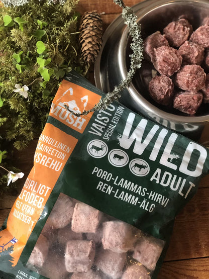 Frozen complete food of reindeer, lamb, and moose | dog
