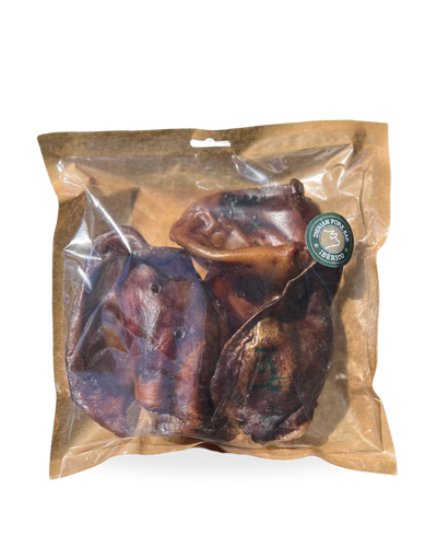 Iberisk griseøre (5 pk)