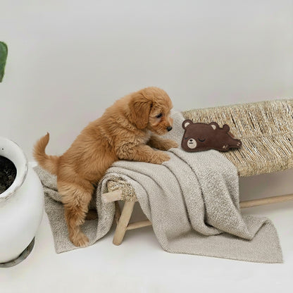 Hundeleke | lille bjørn