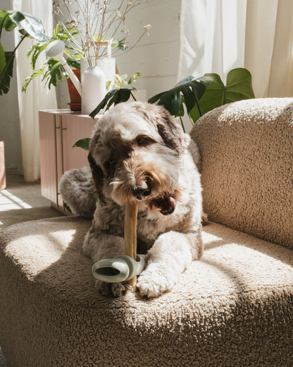 Chew safety holder