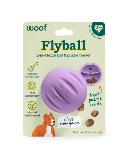 Flyball