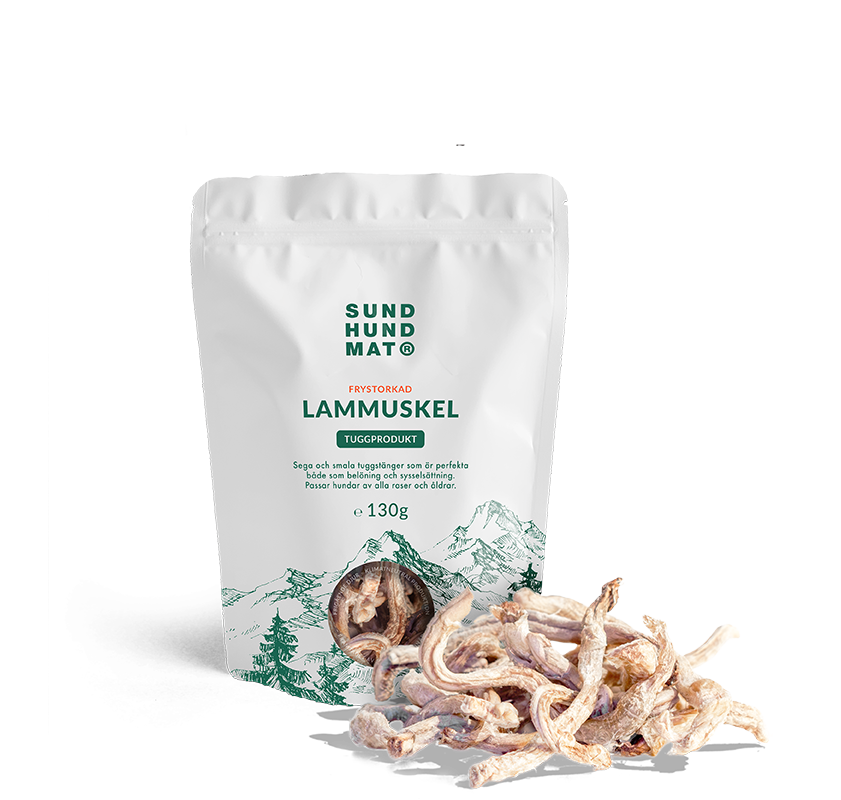 Lamb muscles