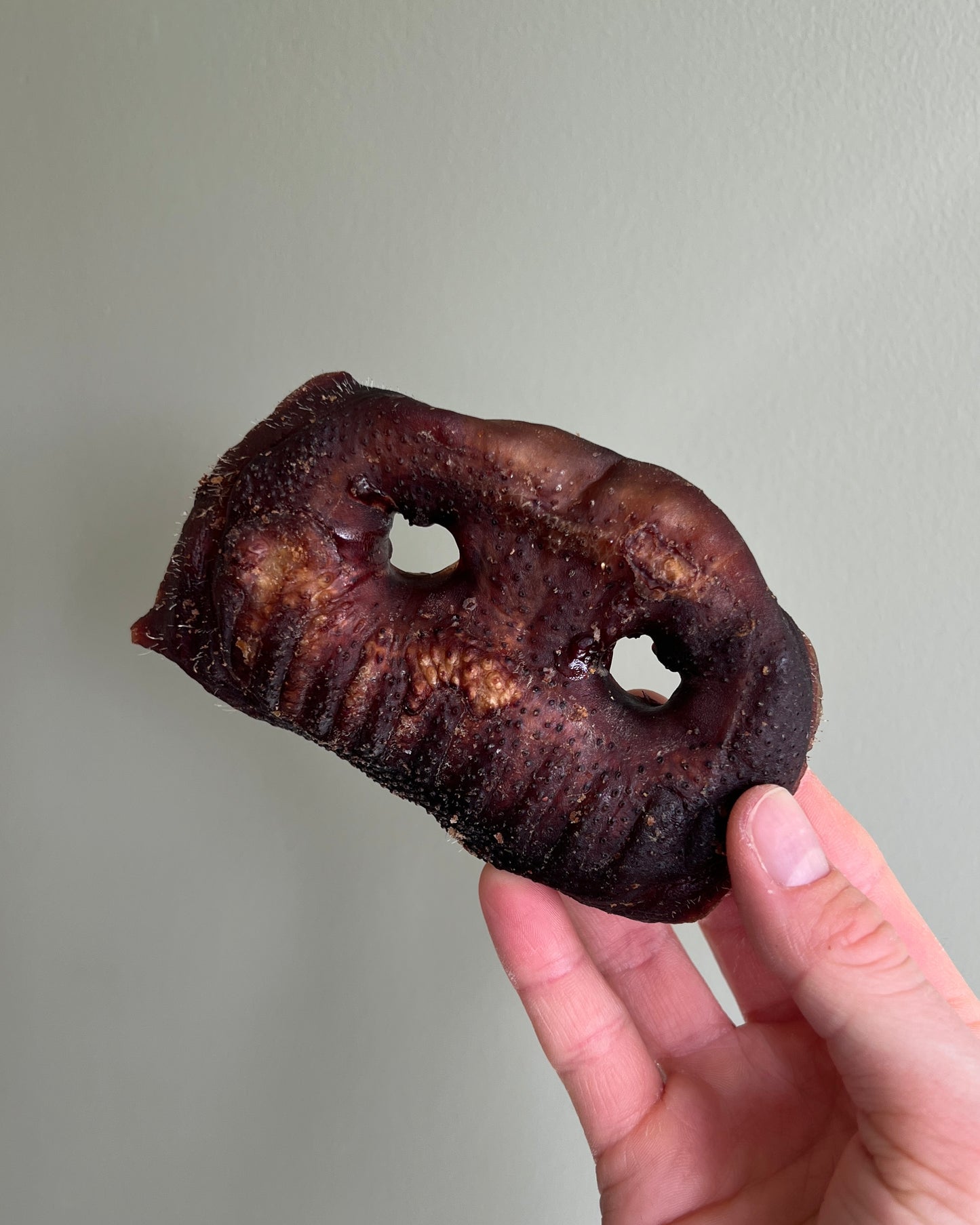 Iberian pig snout (whole)