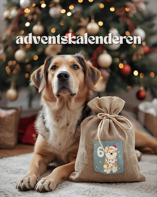 Adventskalenderen | til hund