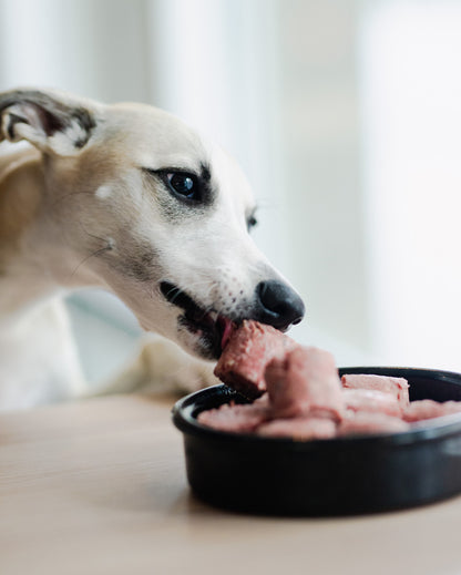 Fryst fullfôr av kylling og fermenterte grønnsaker | hund