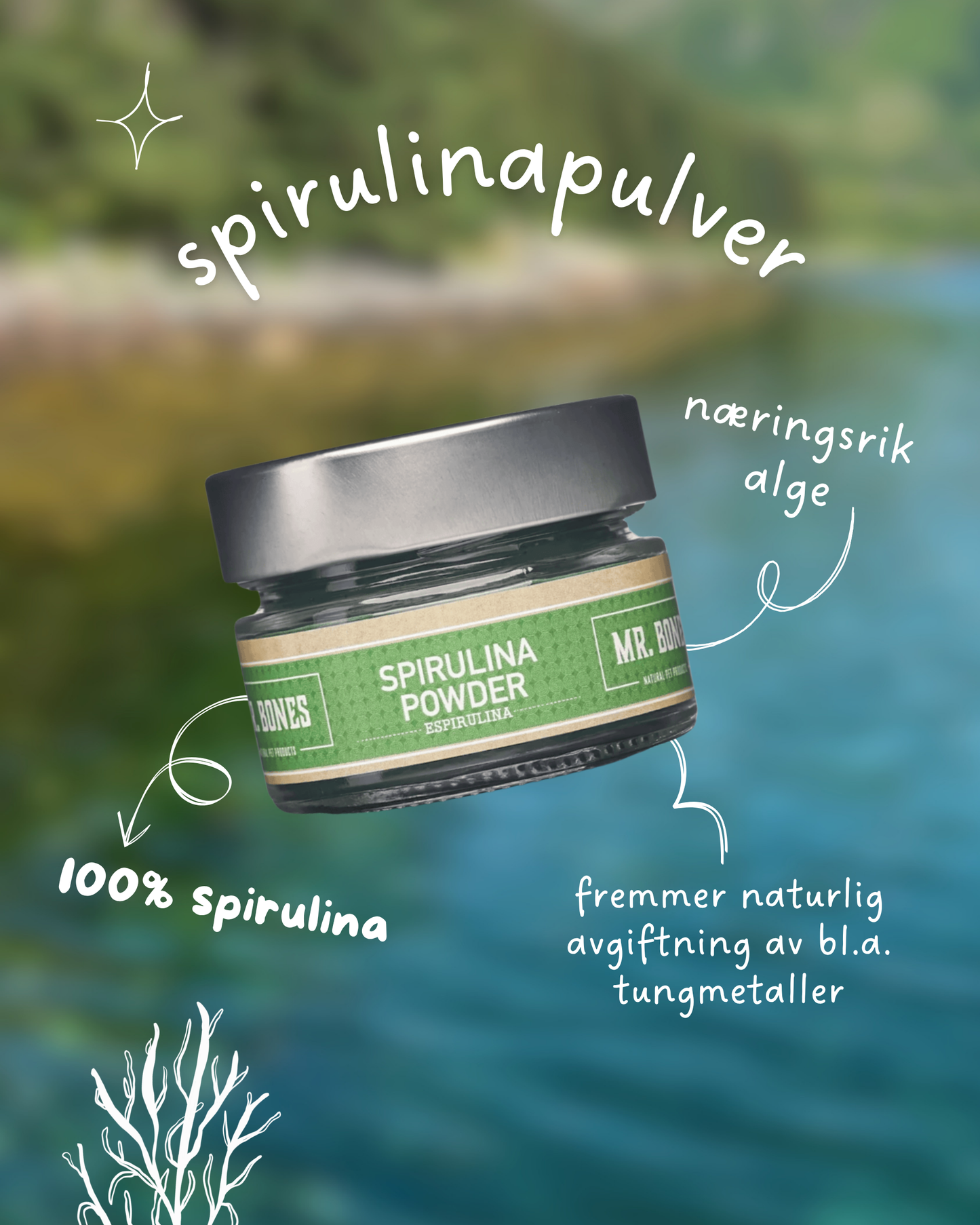 Spirulinapulver