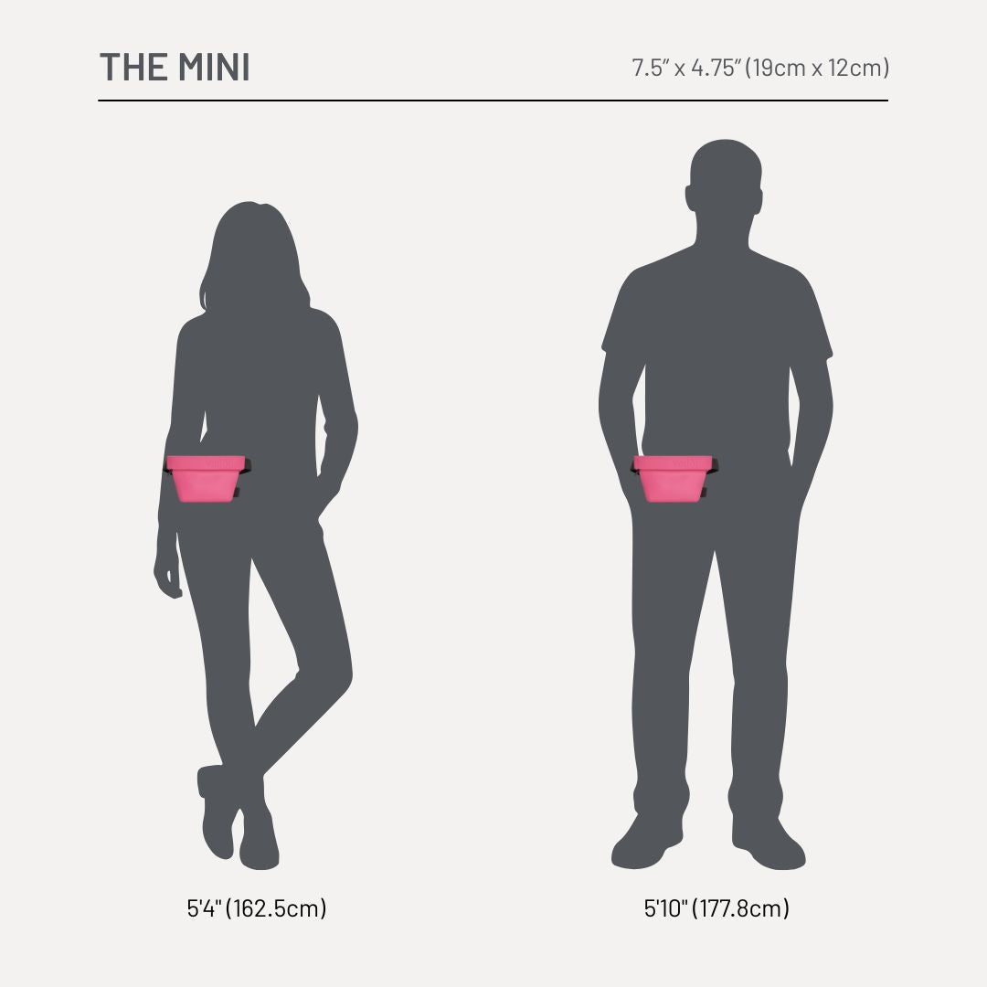 The Mini