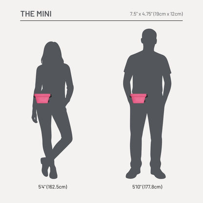 The Mini