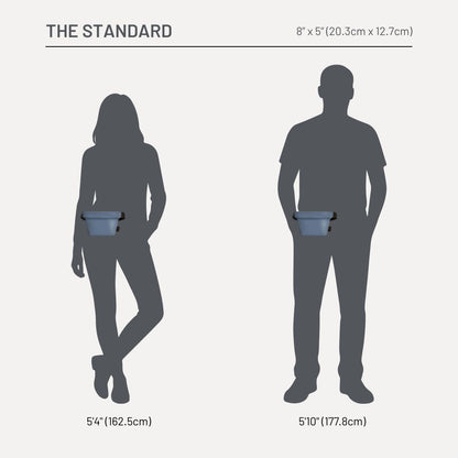 The Standard