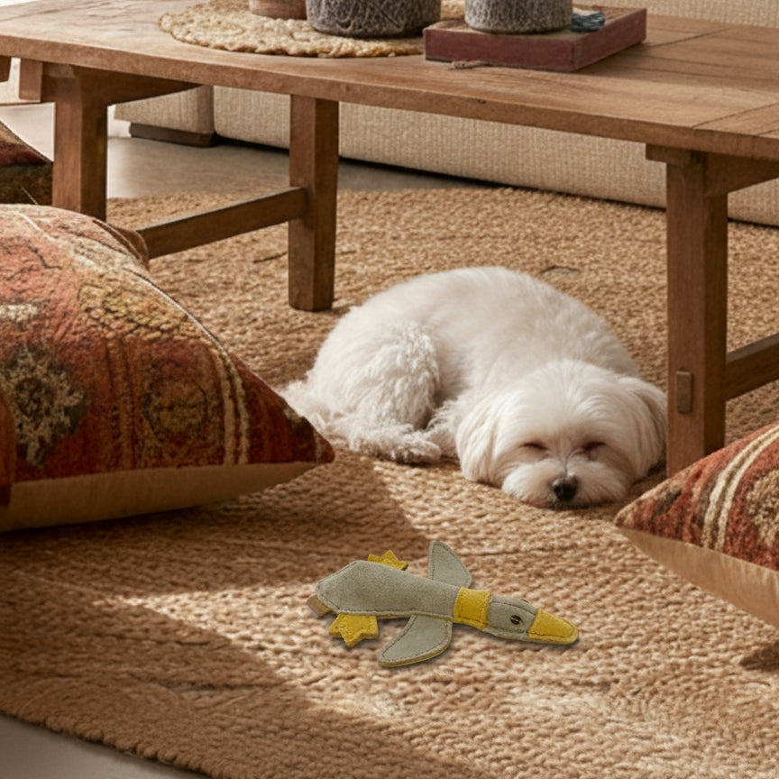 Hundeleke | lille andunge