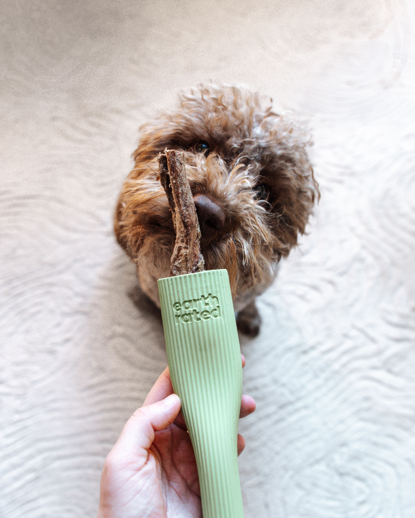 Chew toy