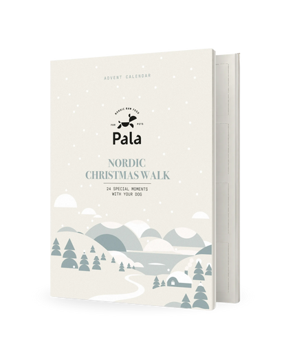 Adventskalender