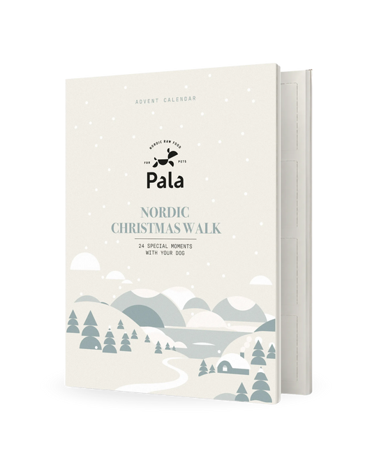 Adventskalender