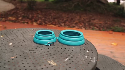 Collapsible bowl